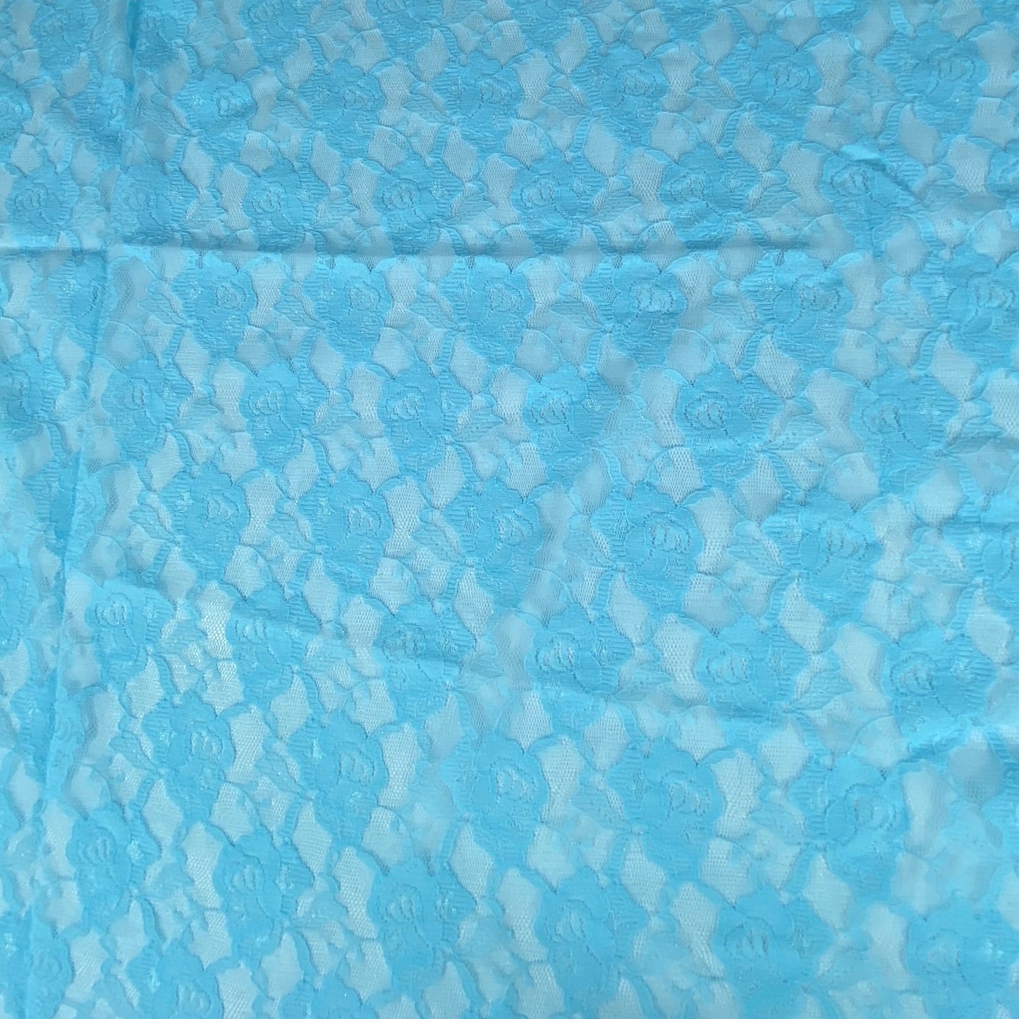 Floral Corded Lace - Light Blue