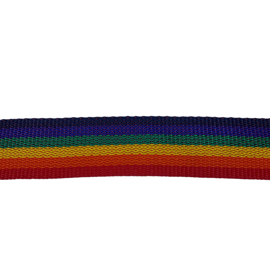 Nylon Webbing - 38mm - Rainbow