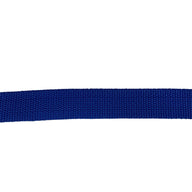 Nylon Webbing - 25mm - Blue