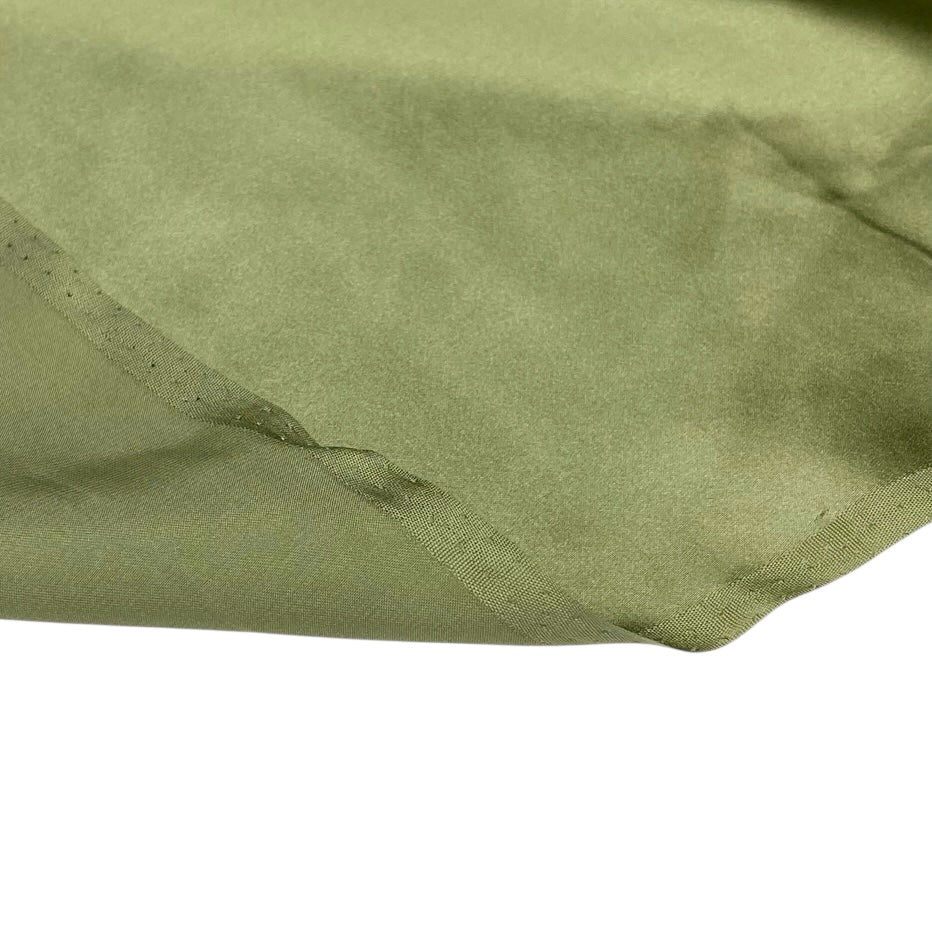Mulberry Silk Charmeuse Satin - Light Green