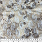 Floral Printed Stretch Lace - Beige