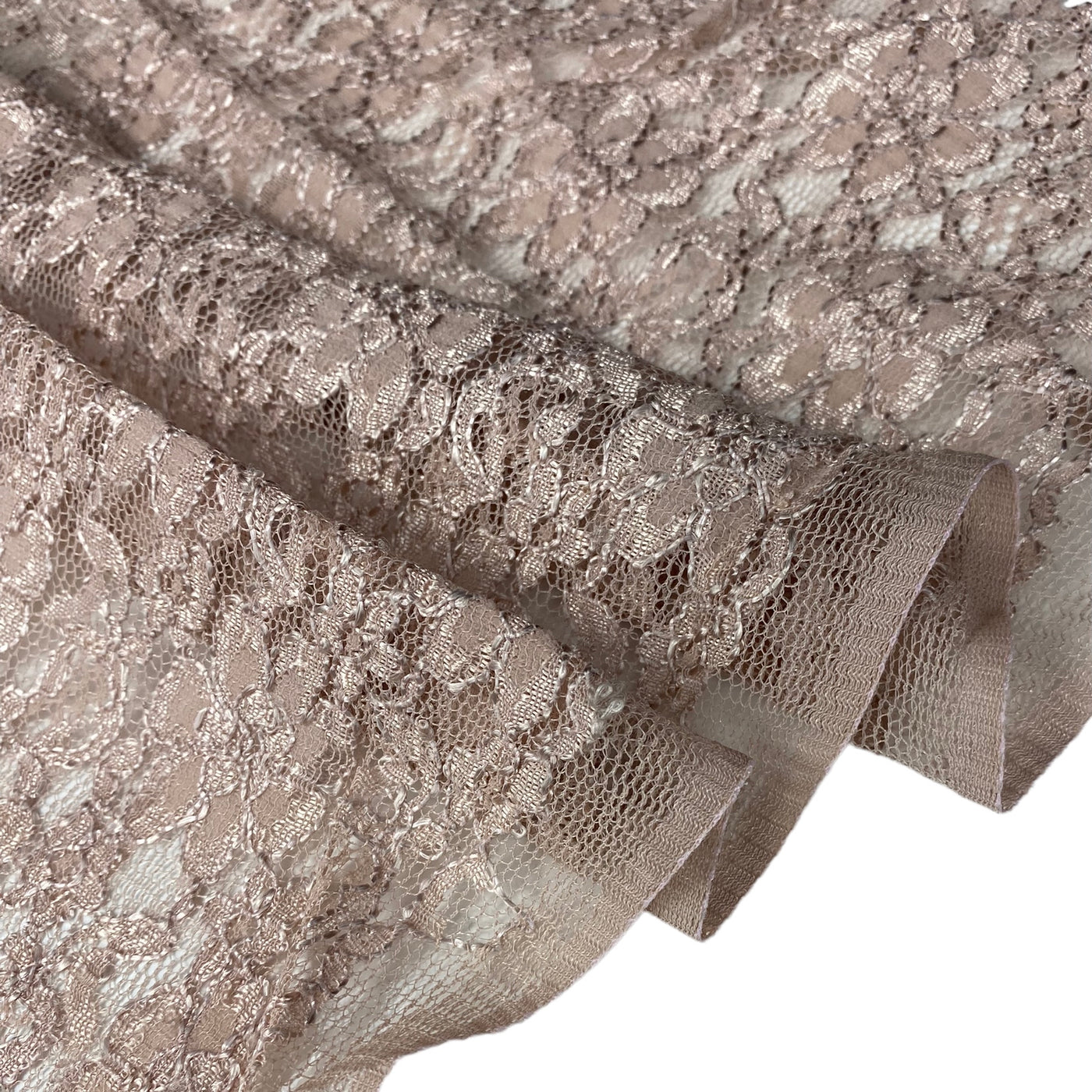 Floral Corded Lace - Beige