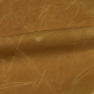 Waxed Cotton Canvas 12oz - Yellow