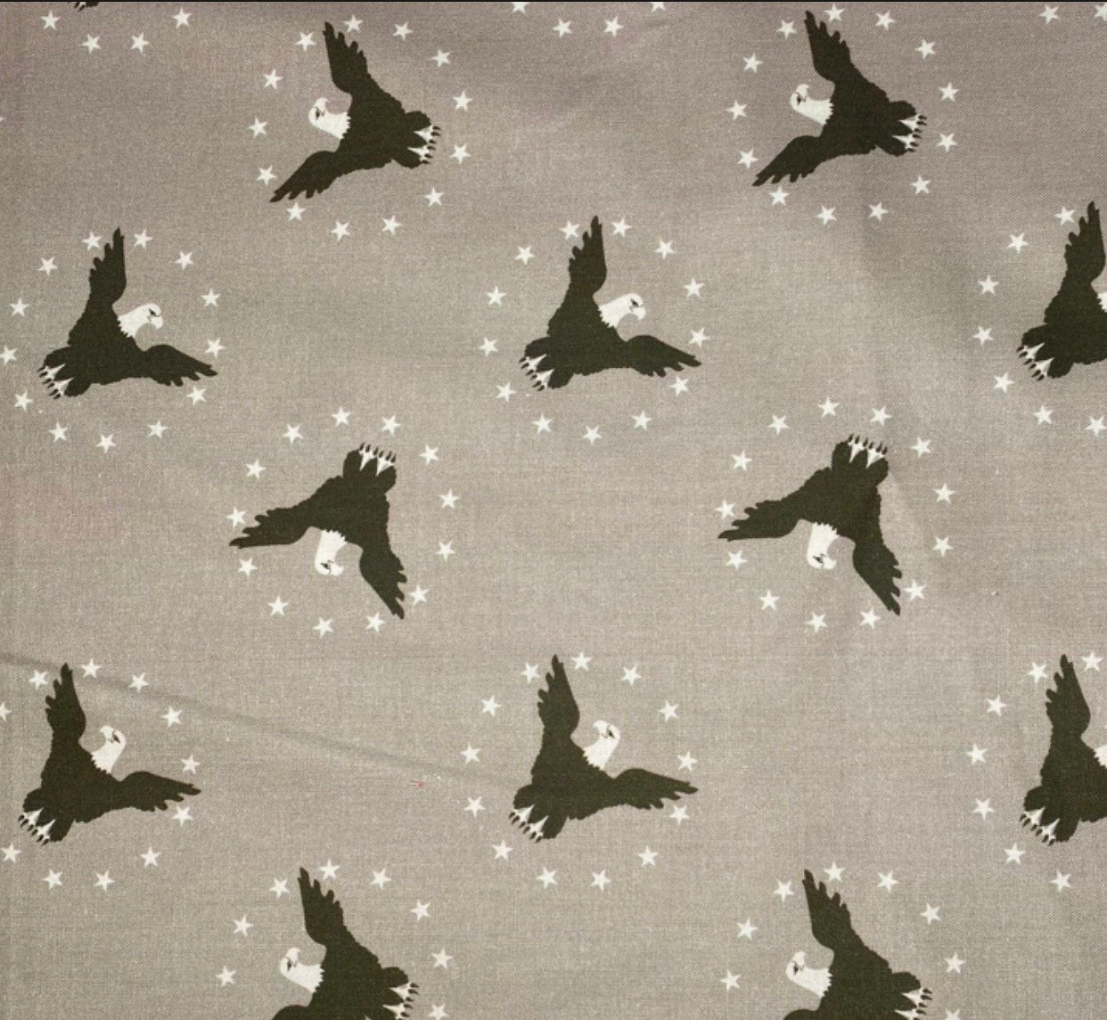 Quilting Cotton Remnant - Eagle
