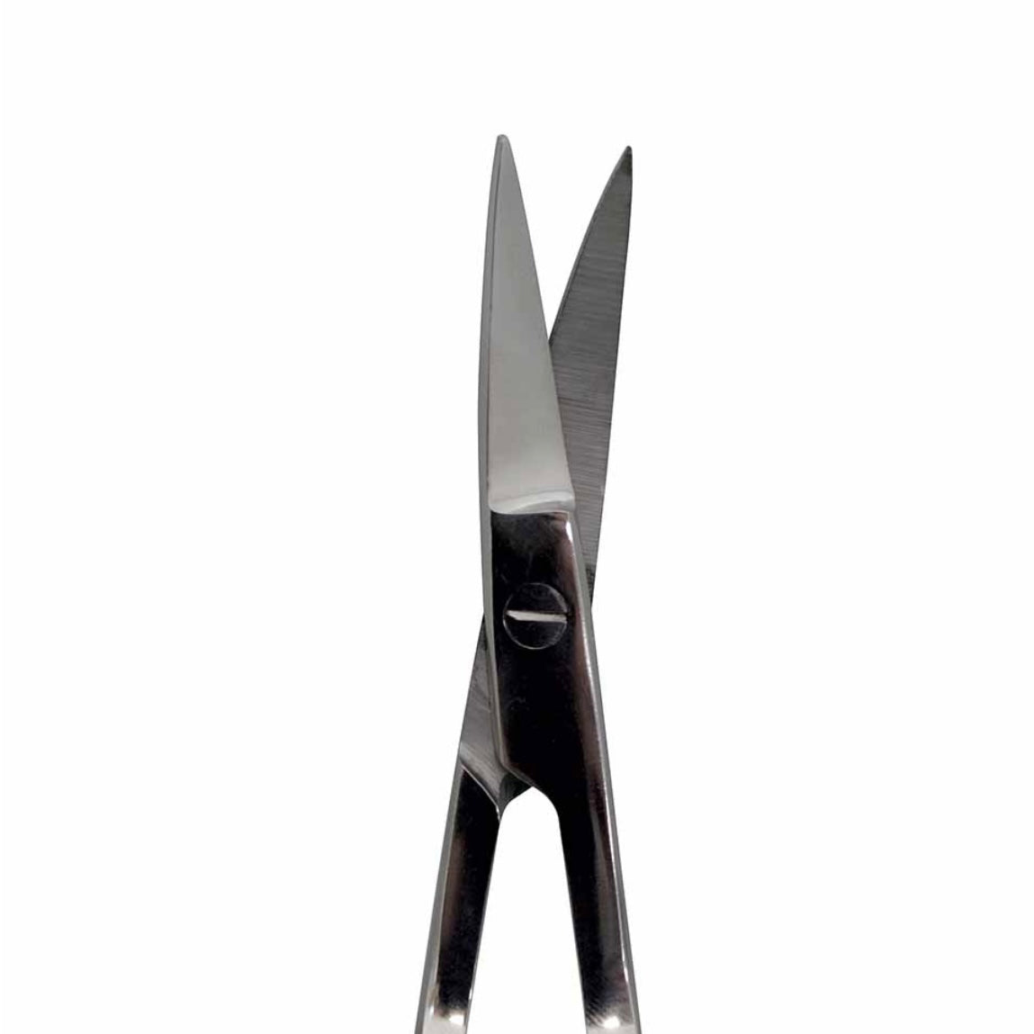 Angled Scissors - 5 1/2”