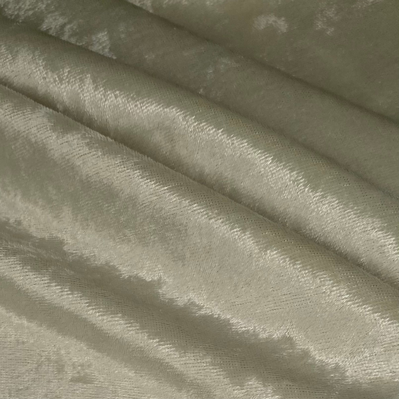 Crushed Stretch Velvet - Beige