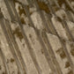 Striped Burnout Stretch Velvet - Light Brown