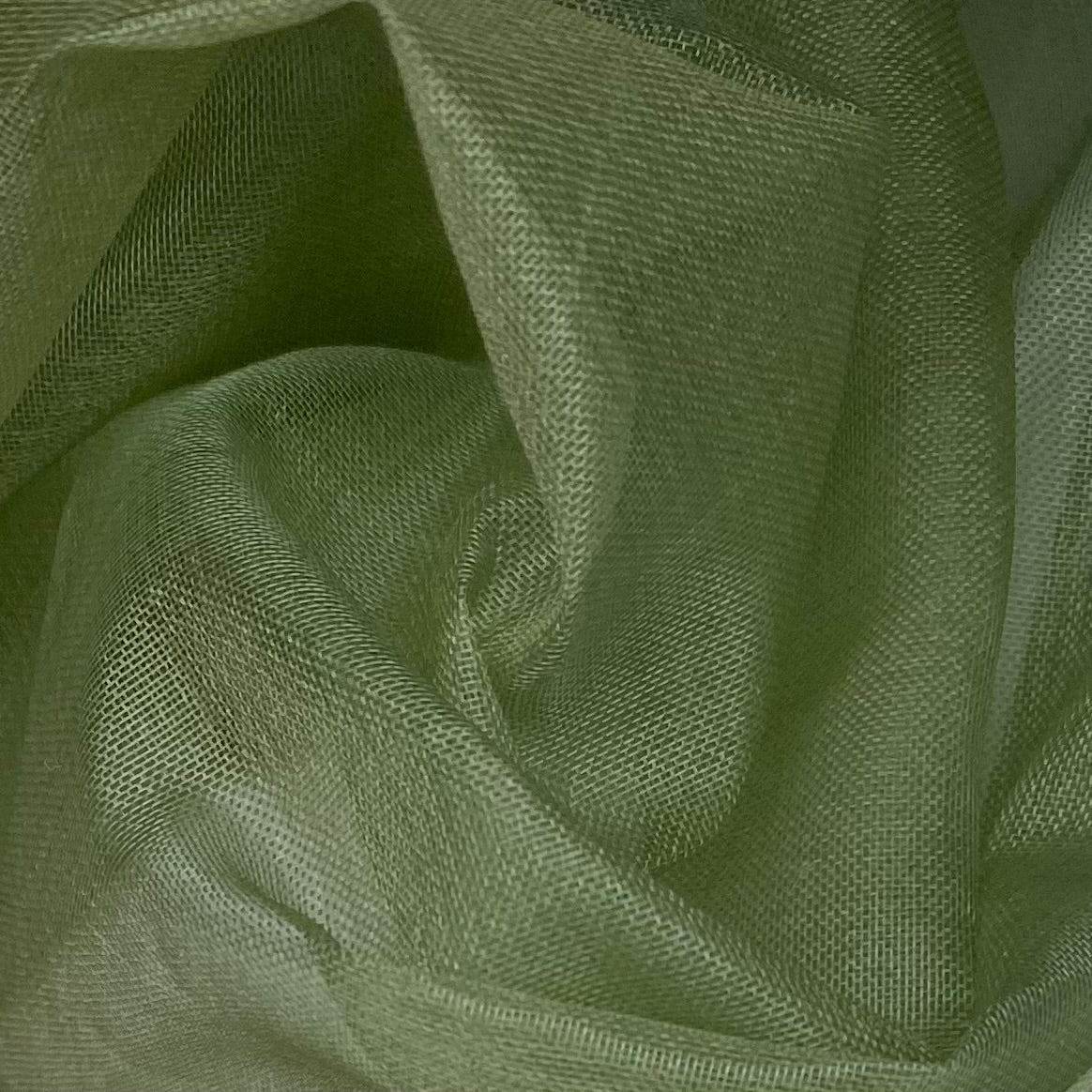 Silk Organza - Green
