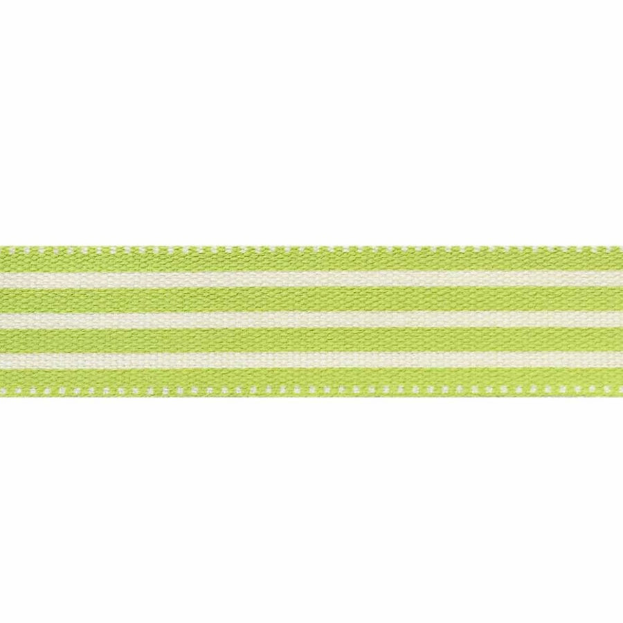 Printed Cotton Trim - Striped - 15mm x 5m - White/Green