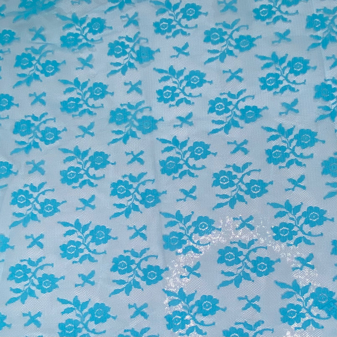 Floral Corded Lace with Scalloped Edges - Blue