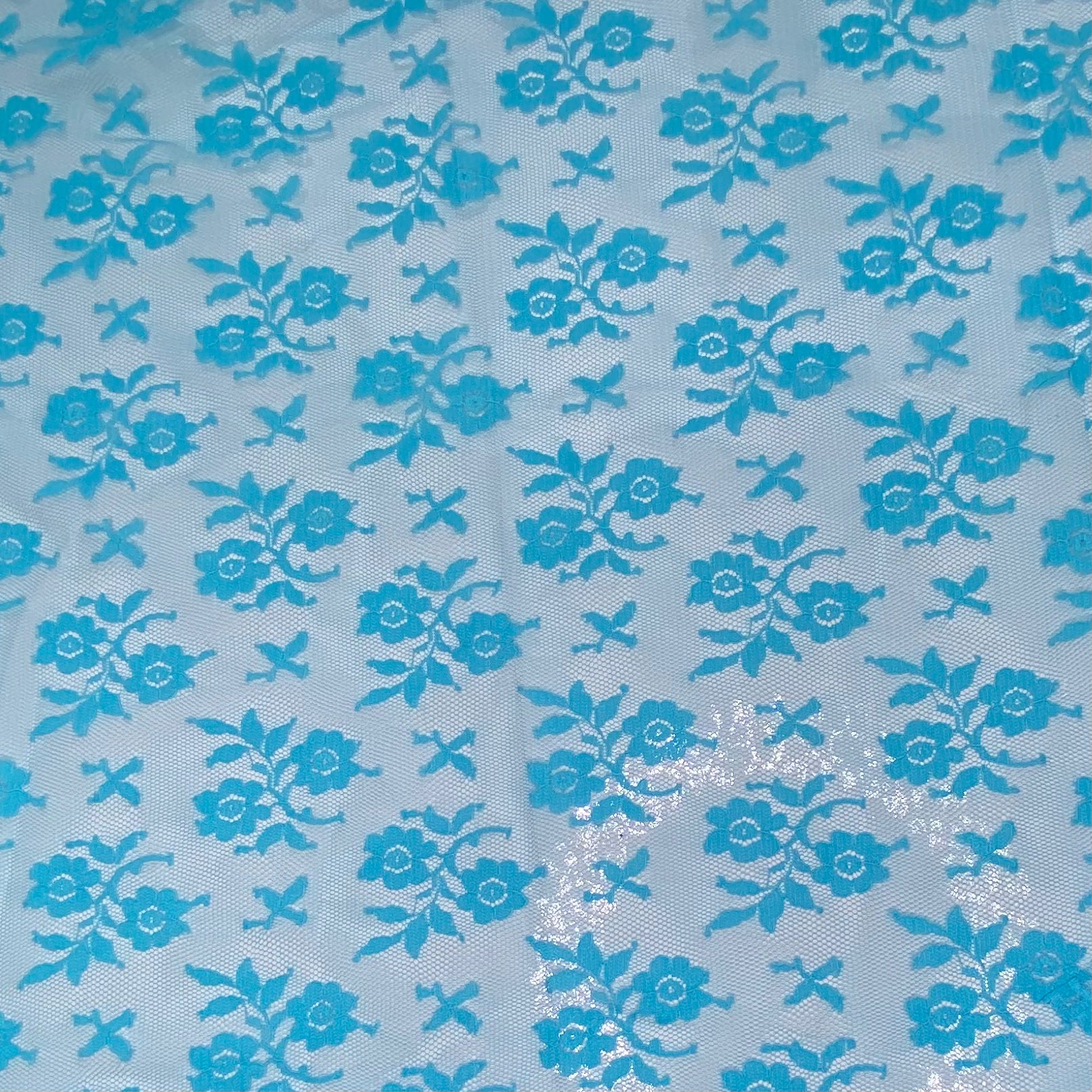 Floral Corded Lace with Scalloped Edges - Blue