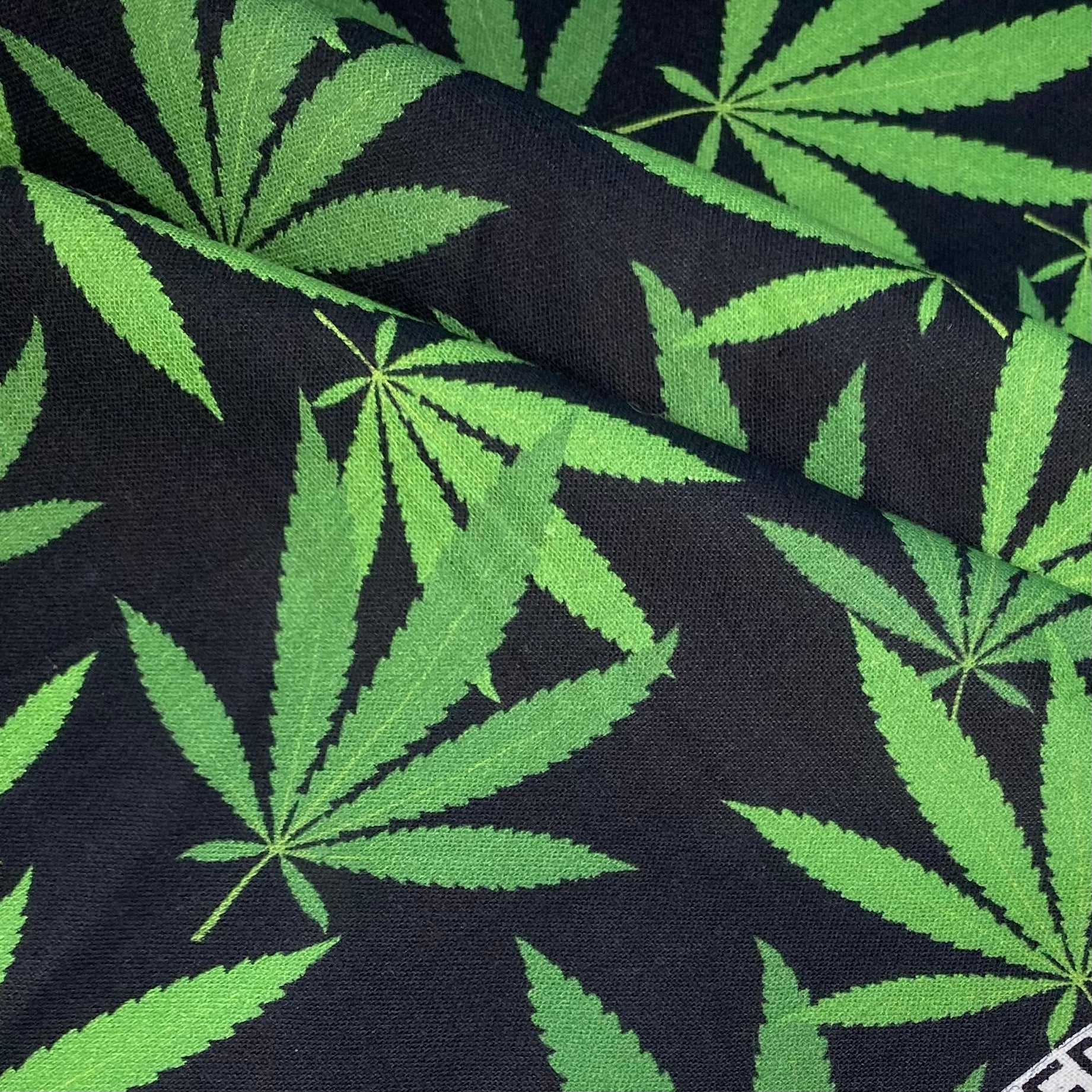 Quilting Cotton - Leaf Print - 44” - Black
