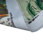 Tropical Bird Indoor/Outdoor Upholstery - 56”