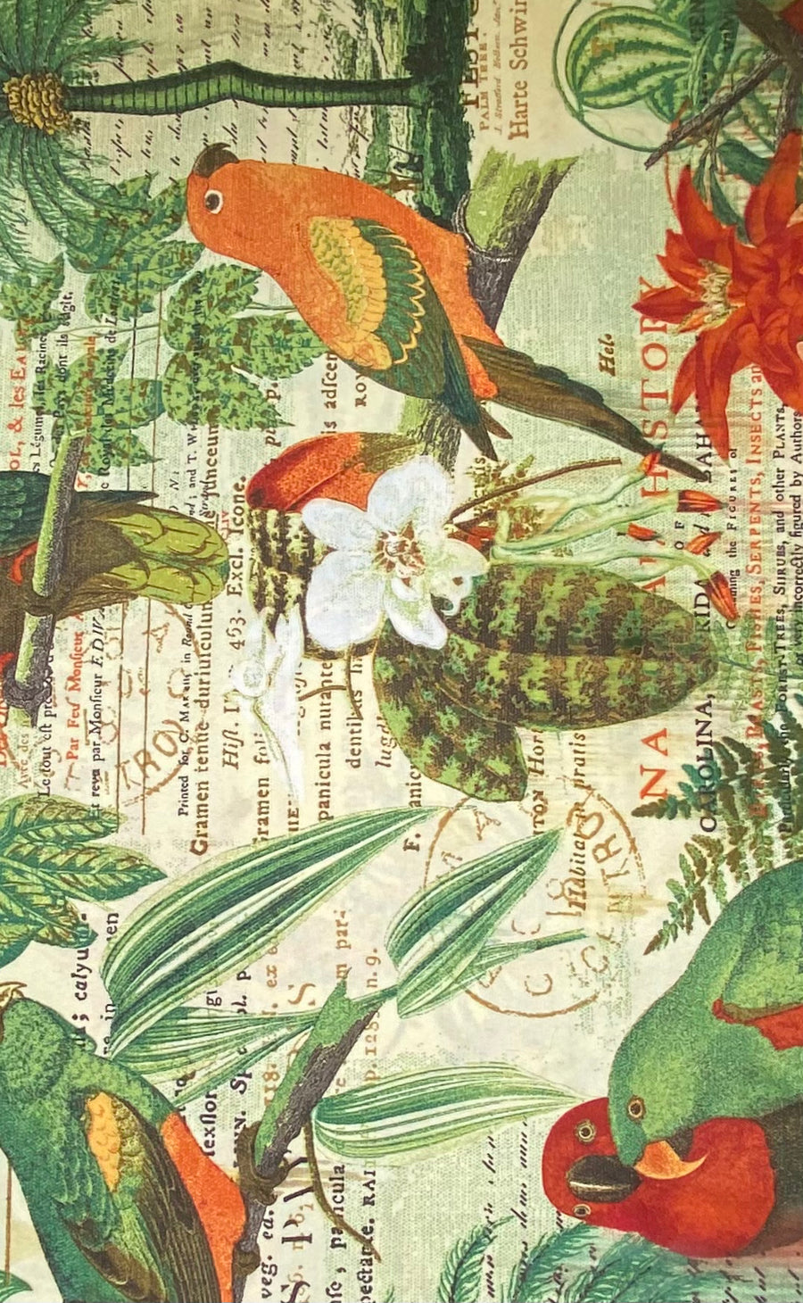 Tropical Bird Printed Indoor/Outdoor Upholstery - Green/Orange