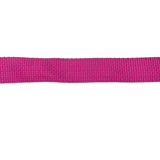 Nylon Webbing - 25mm - Blue