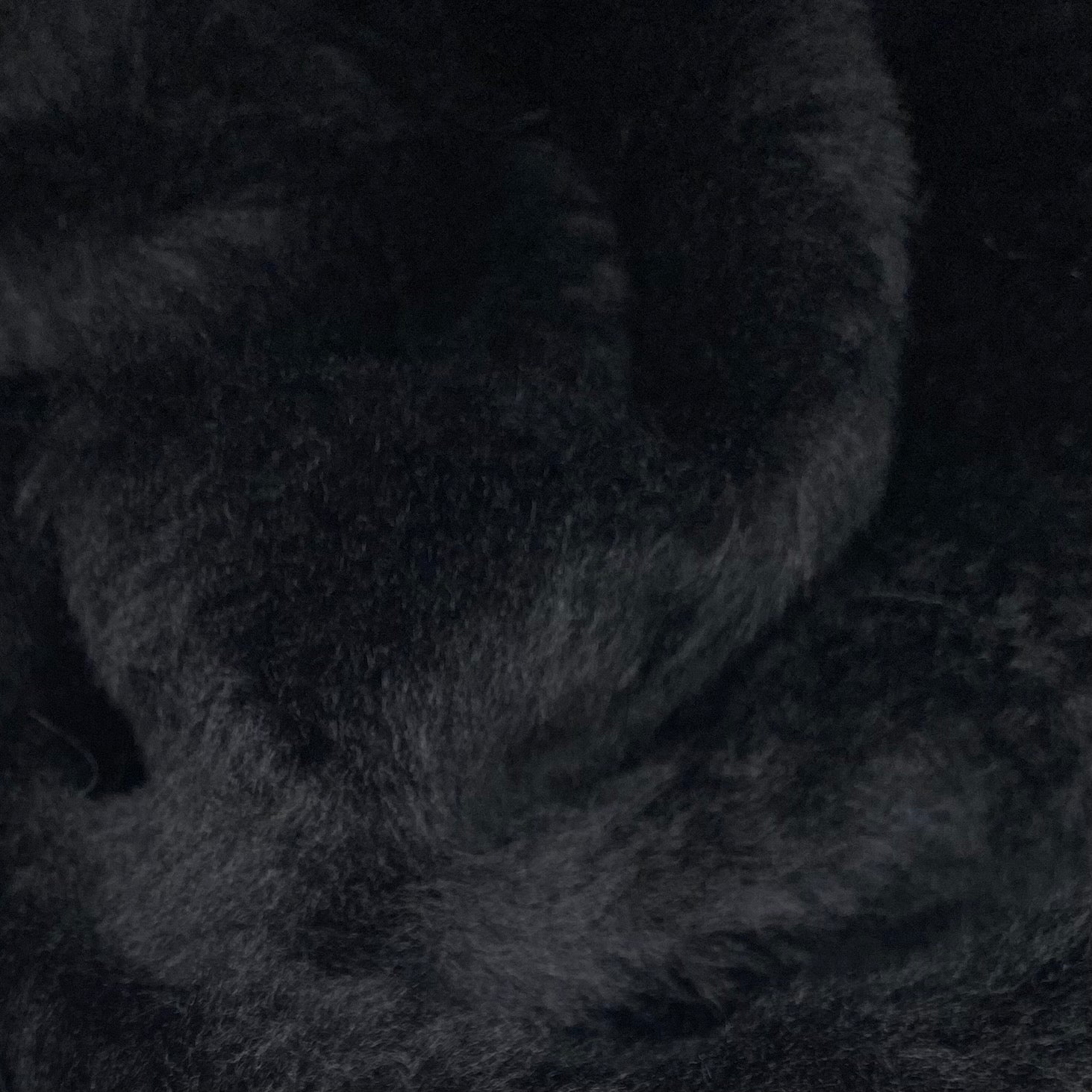 Faux Fur - Black
