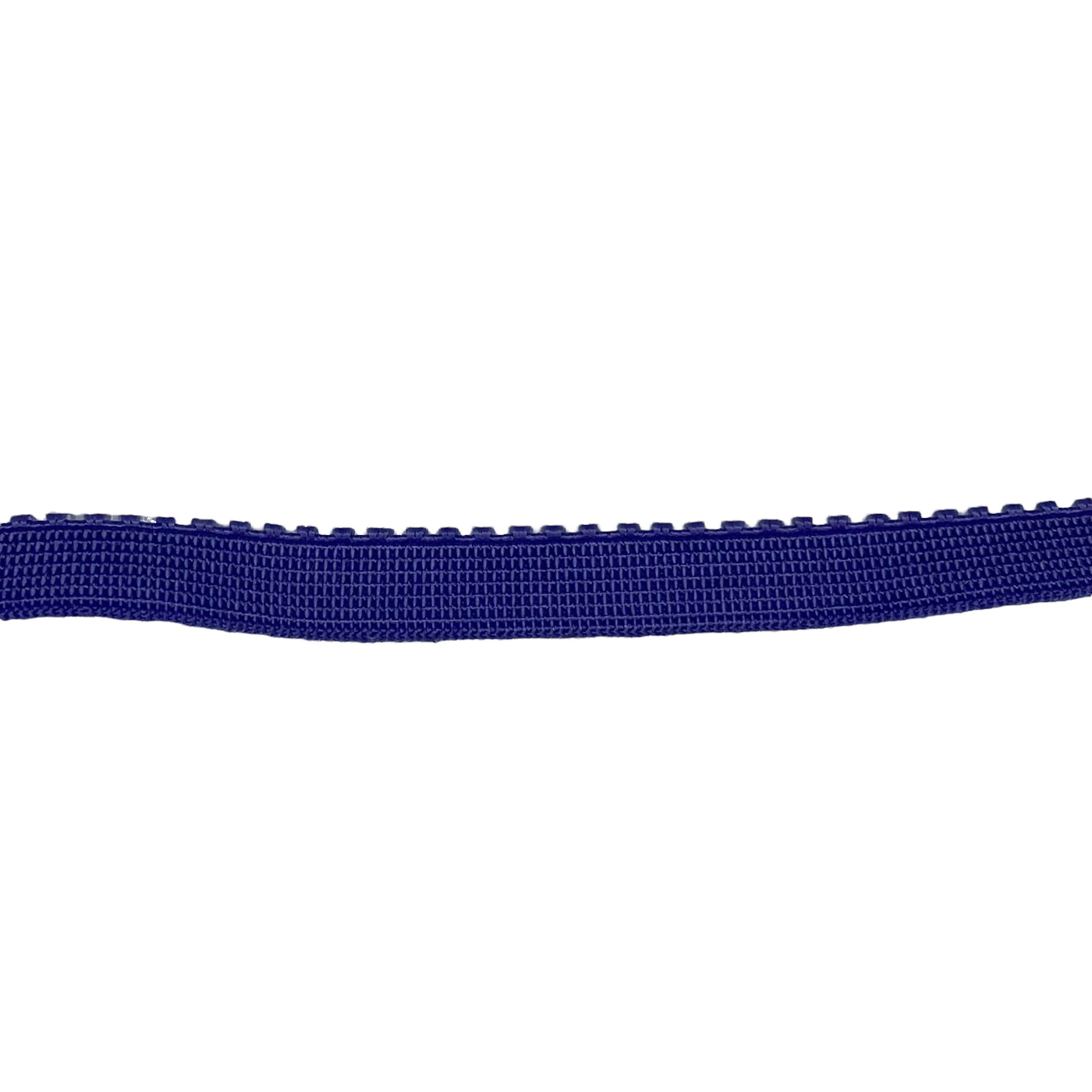 Picot Edge Decorative Elastic - Soft Back - 10mm - By the Yard - Light Blue