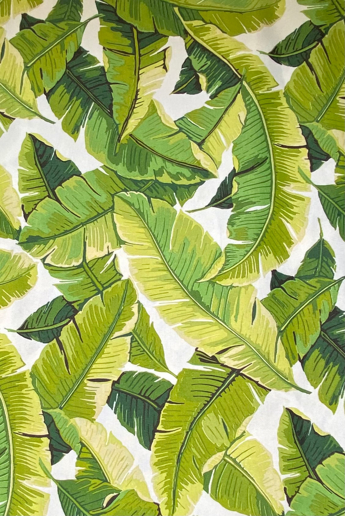 Palm Leaf Indoor/Outdoor Upholstery - 56” - White
