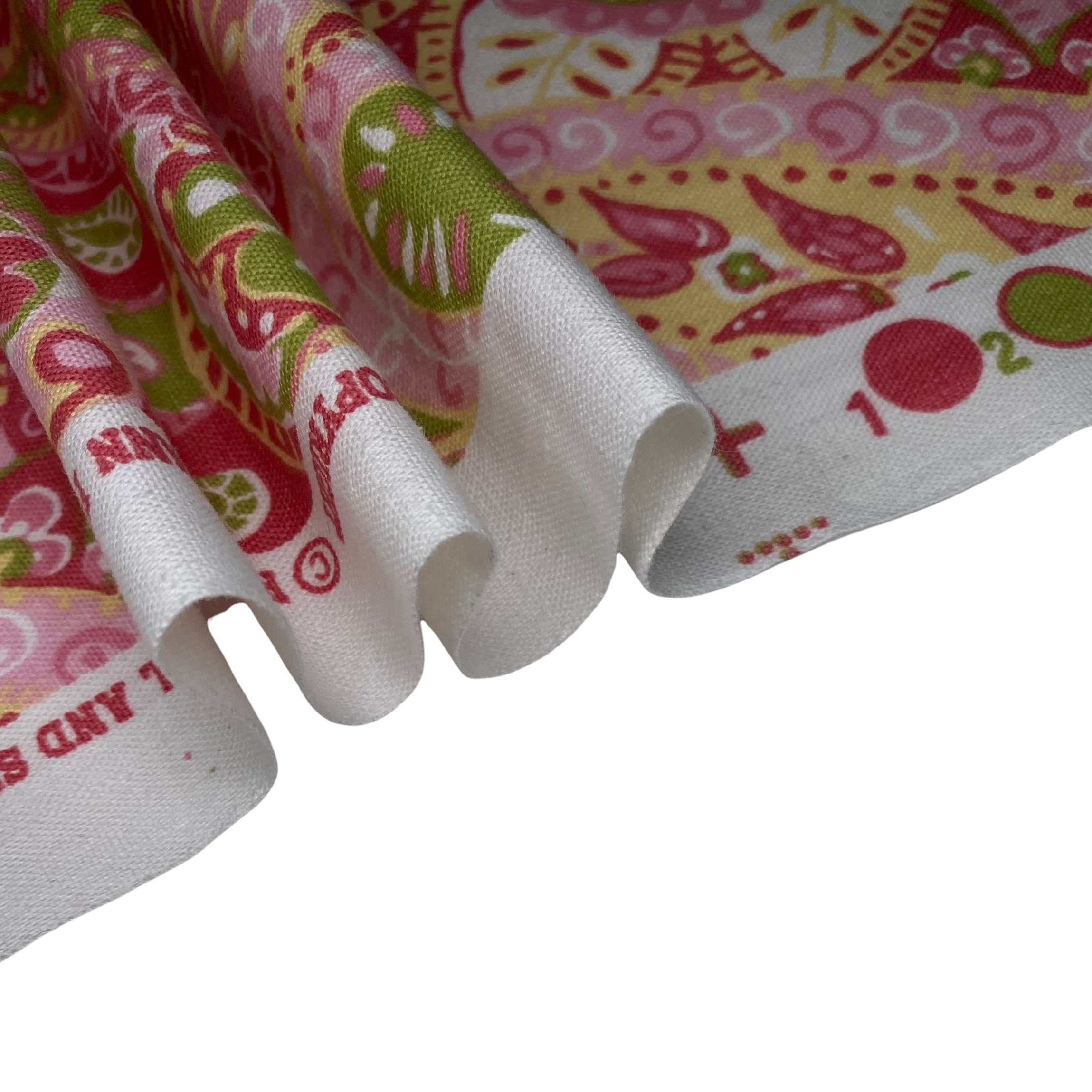 Printed Paisley Cotton Canvas Remnant - Pink/Green/ Yellow