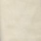 Soft Nylon Tulle - 54” - Eggshell