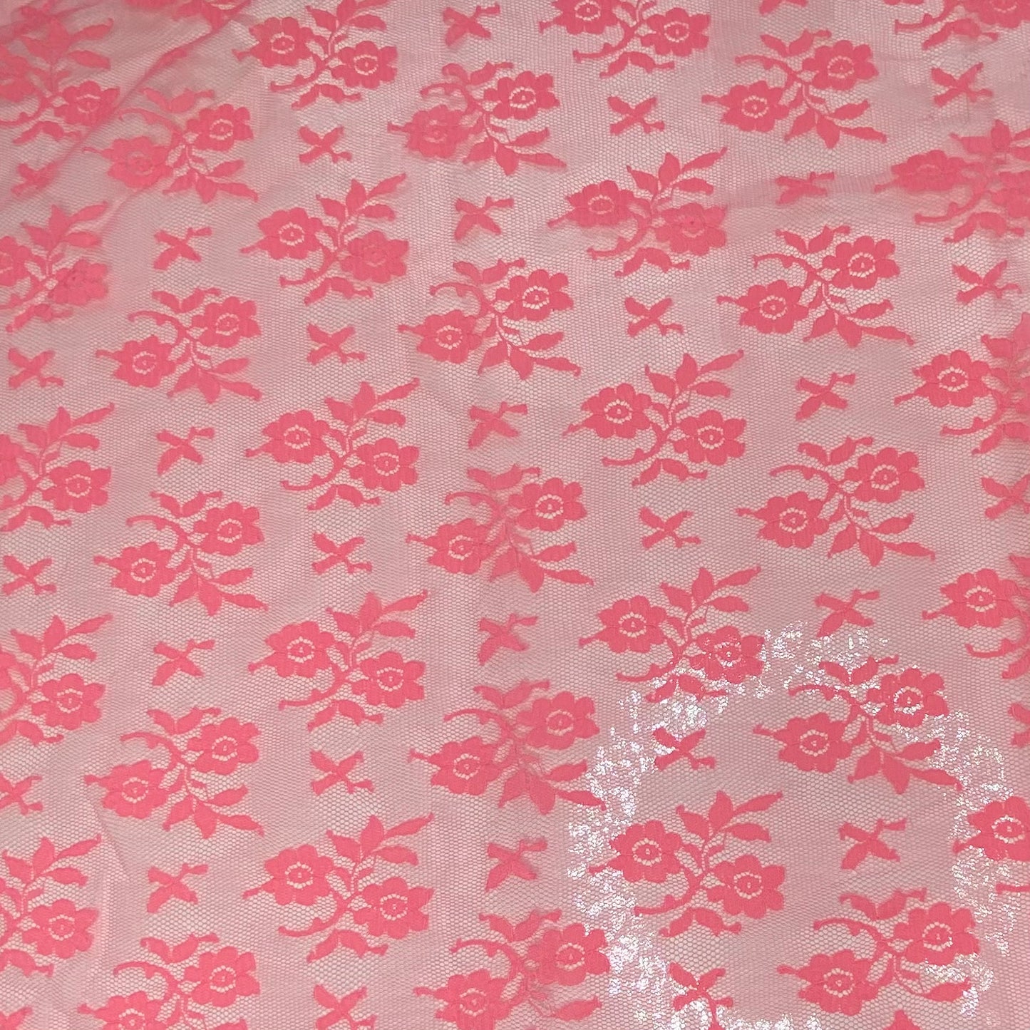 Floral Corded Lace with Scalloped Edges - Neon Pink